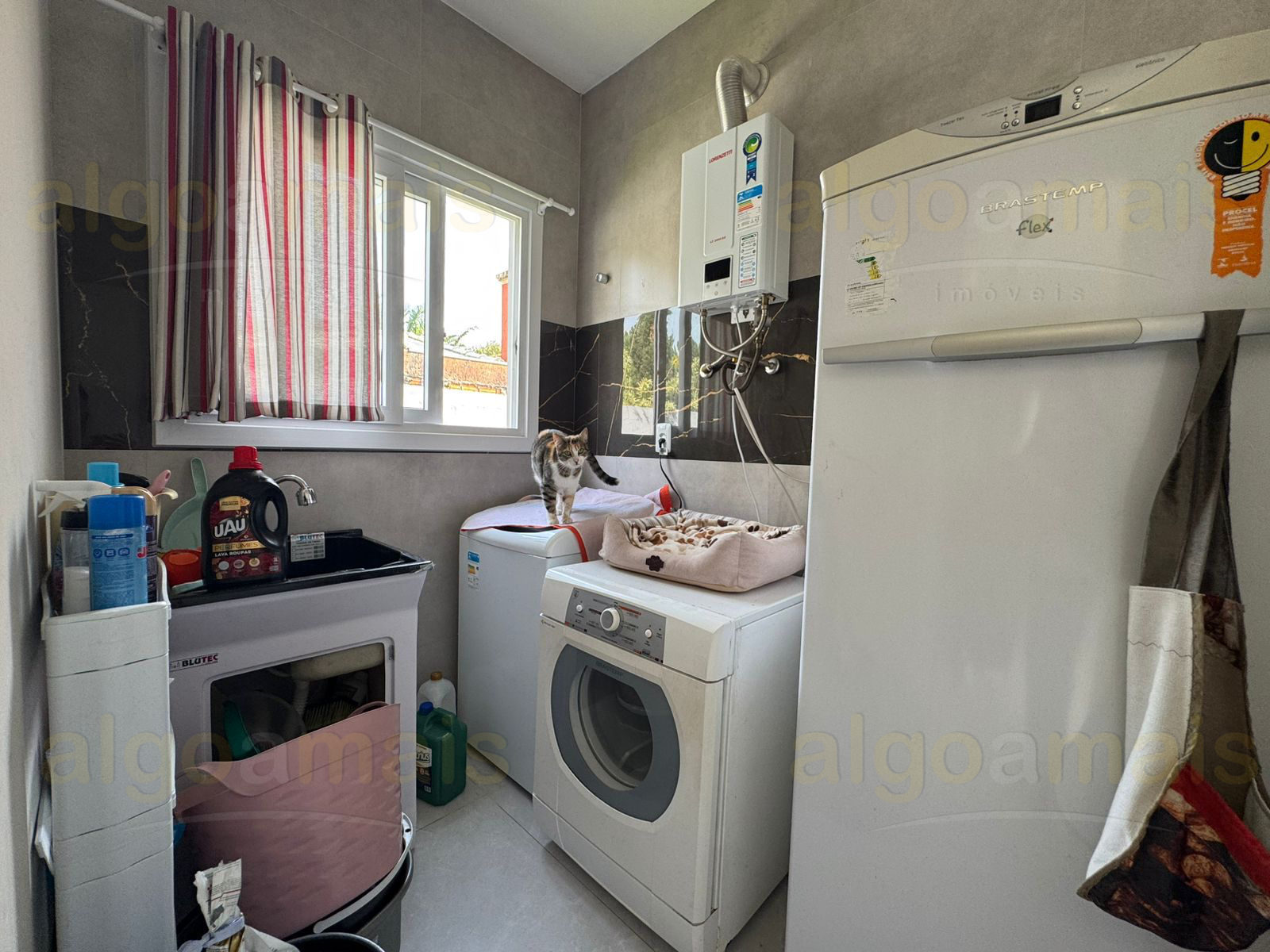 Casa, 3 quartos, 210 m² - Foto 11