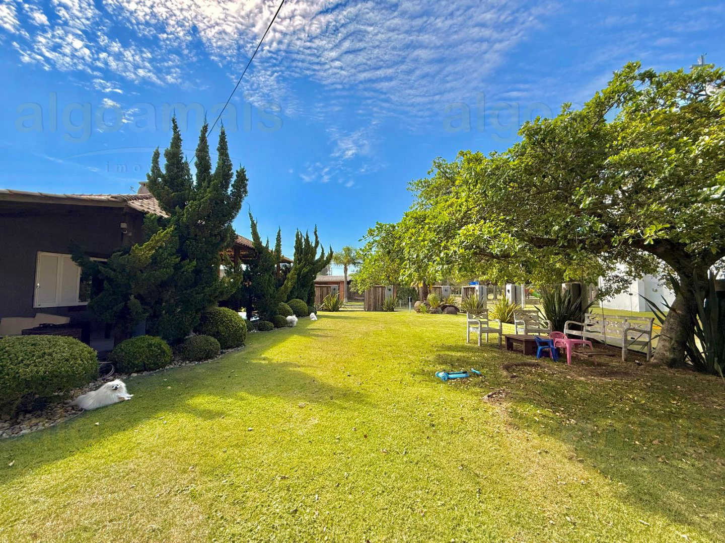 Casa, 4 quartos, 275 m² - Foto 6