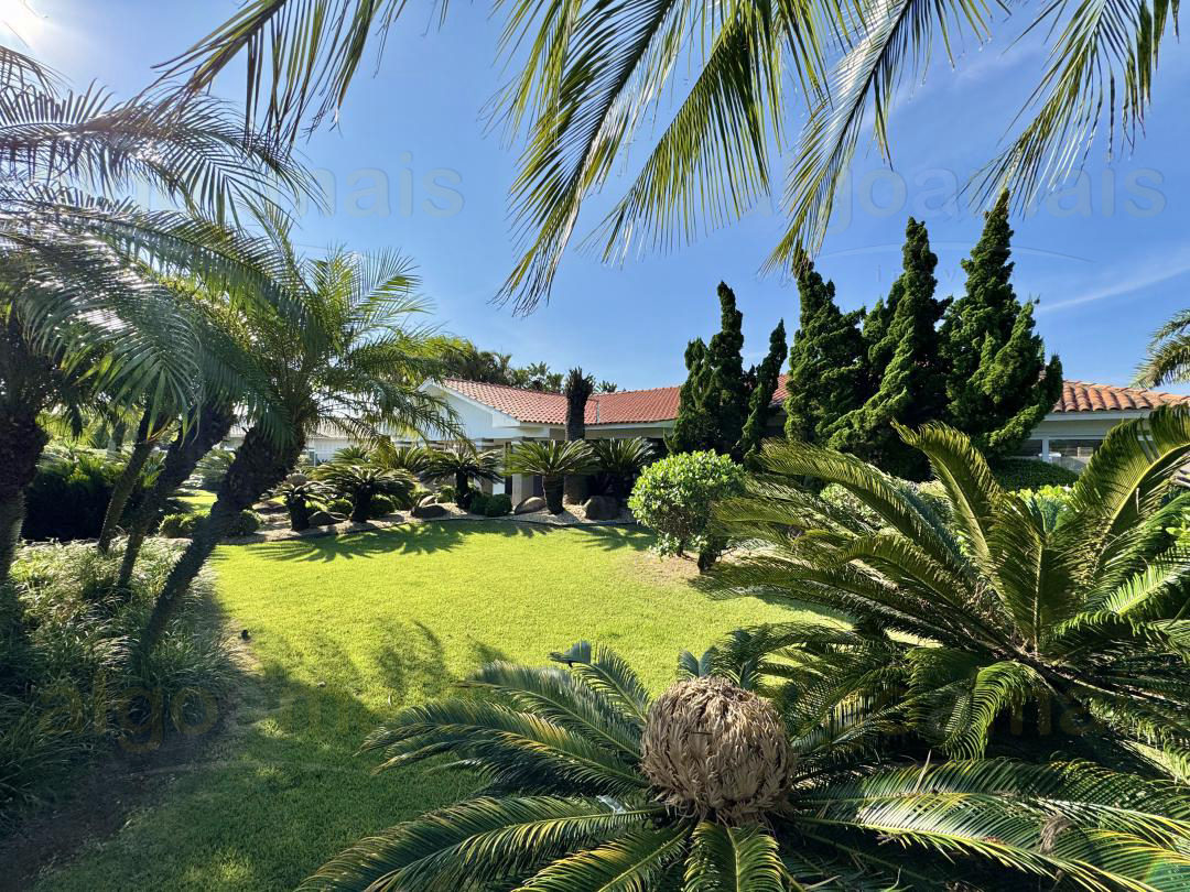 Casa, 5 quartos, 418 m² - Foto 6